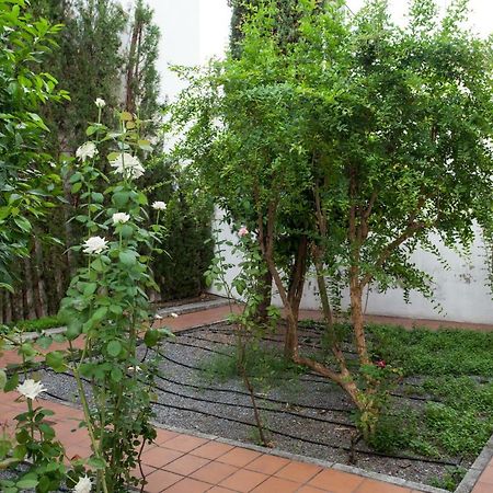 Apartamento De Lujo En Antiguo Convento Granada Luaran gambar